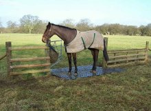 PERFO geogrid used to reinforce horse field gate